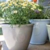 La Hacienda Plant Avenue Eden Emblem Grey 40cm Garden Pot - 90525GR -OUTSUNNY Sales Shop l a la hacienda eden 90525gr