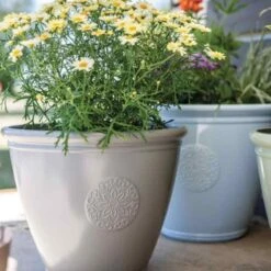 La Hacienda Plant Avenue Eden Emblem Grey 40cm Garden Pot - 90525GR