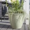 La Hacienda Plant Avenue Eden Emblem Green 45cm Garden Pot - 90526GN