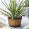 La Hacienda Plant Avenue Oban Light Oak Whiskey Barrel 33cm Garden Pot - 90511LO 12 La Hacienda Plant Avenue Oban Light Oak Whiskey Barrel 33cm Garden Pot - 90511LO -OUTSUNNY Sales Shop l a la hacienda oban 90511lo