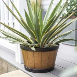 La Hacienda Plant Avenue Oban Light Oak Whiskey Barrel 33cm Garden Pot - 90511LO