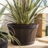La Hacienda Plant Avenue Oban Dark Oak Whiskey Barrel 45cm Garden Pot - 90513DO
