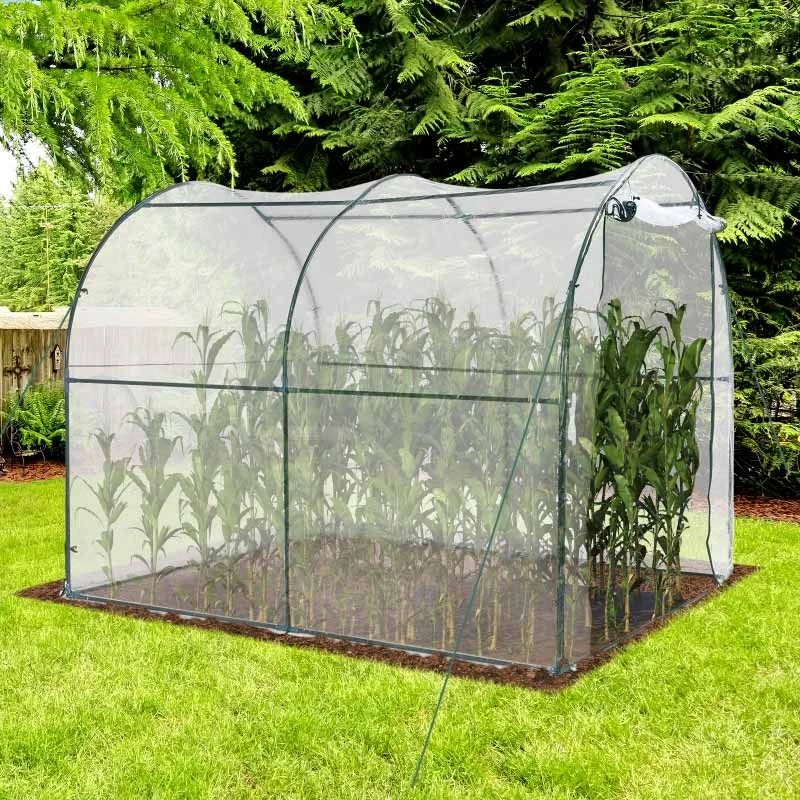 Outsunny Walk-in Greenhouse With Roll-Up Door 200L X 250W X 200Hcm - Transparent - 01-0467 10 Outsunny Walk-in Greenhouse With Roll-Up Door 200L X 250W X 200Hcm - Transparent - 01-0467 - Image 10