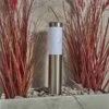 Forum Lighting Creswell LED Solar Garden Spike Light - Stainless Steel - ZN-42044 -OUTSUNNY Sales Shop zn 42044